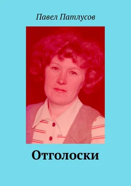 Павел Патлусов Отголоски обложка книги