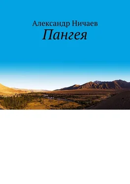 Александр Ничаев Пангея обложка книги