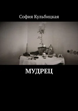 София Кульбицкая Мудрец обложка книги