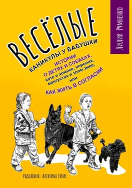 Лилия Румненко Веселые каникулы у бабушки. Истории о детях и собаках, коте и хомяке, воронах, мангустах и злом змее, или Как жить в согласии обложка книги