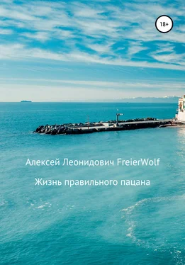 Алексей FreierWolf Жизнь правильного пацана обложка книги