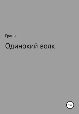 Граин Одинокий волк обложка книги