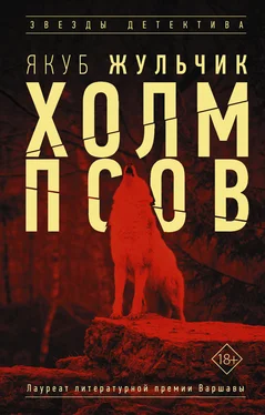 Якуб Жульчик Холм псов обложка книги