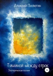 Алексей Пилюгин - Тишиной между строк