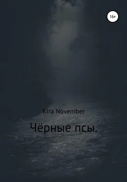 Kira November Чёрные псы обложка книги