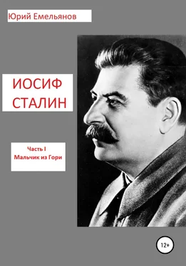 Юрий Емельянов Иосиф Сталин. Часть 1. Мальчик из Гори обложка книги