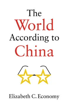 Elizabeth C. Economy The World According to China обложка книги