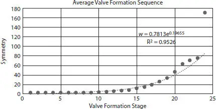 Figure 225Average sequence of 24 simulated valve formation steps of symmetry - фото 110