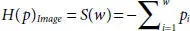ln pi and with kB 1 S ln w for a single ith microstate 284 - фото 60