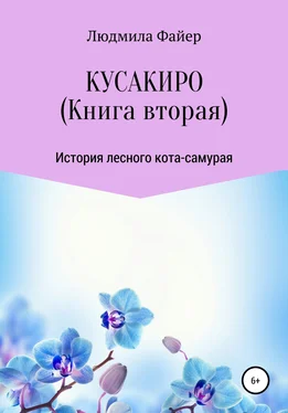 Людмила Файер Кусакиро. Книга вторая обложка книги