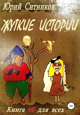 Юрий Ситников Жуткие истории обложка книги