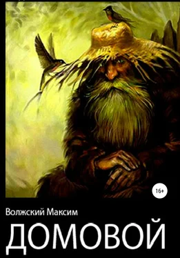 Максим Волжский Домовой обложка книги