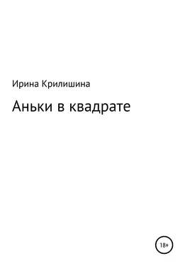 Ирина Крилишина Аньки в квадрате обложка книги