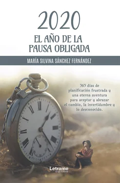 María Silvina Sánchez Fernández 2020 el año de la pausa obligada обложка книги