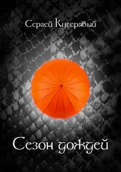 Сергей Кучерявый - Сезон Дождей. Роман