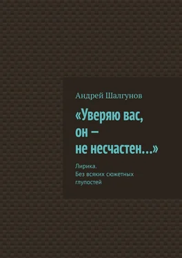 Андрей Шалгунов «Уверяю вас, он – не несчастен…». Лирика. Без всяких сюжетных глупостей обложка книги