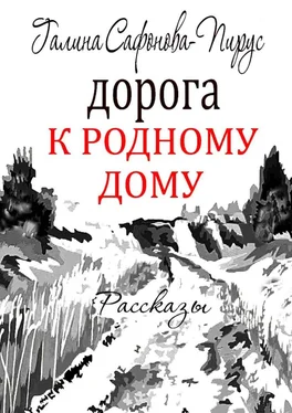 Галина Сафонова-Пирус Дорога к родному дому. Рассказы обложка книги