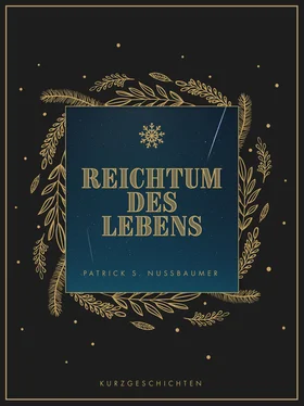 Patrick S. Nussbaumer Reichtum des Lebens обложка книги