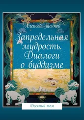 Алексей Тенчой - Запредельная мудрость. Диалоги о буддизме. Десятый том