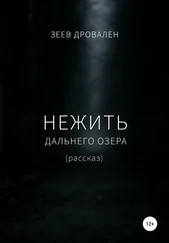 Зеев Дровален - Нежить Дальнего озера