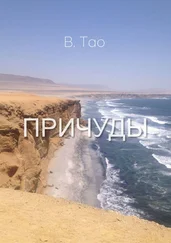 В. Тао - Причуды