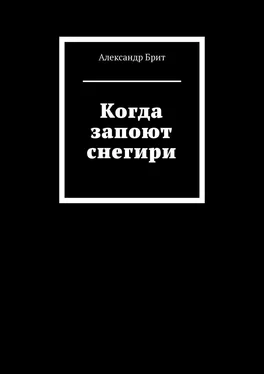 Александр Брит Когда запоют снегири обложка книги