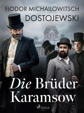 Fjodor M Dostojewski Die Brüder Karamsow обложка книги