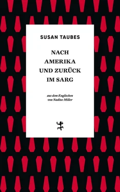 Susan Taubes Nach Amerika und zurück im Sarg обложка книги