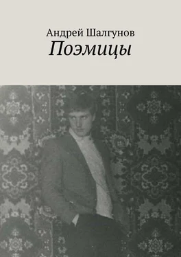 Андрей Шалгунов Поэмицы обложка книги