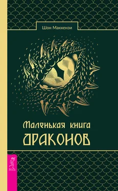 Шон Маккензи Маленькая книга драконов обложка книги