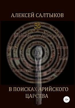 Алексей Салтыков В поисках арийского царства обложка книги