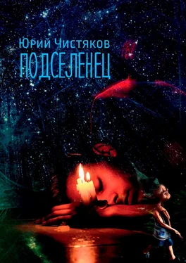 Юрий Чистяков Подселенец обложка книги