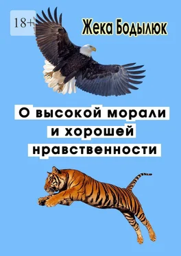 Жека Бодылюк О высокой морали и хорошей нравственности обложка книги