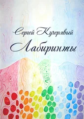 Сергей Кучерявый - Лабиринты. Роман