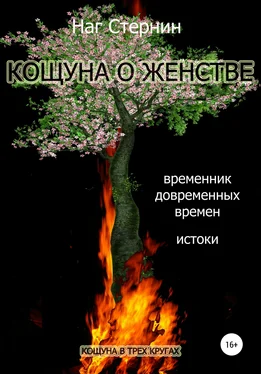 Наг Стернин Кощуна о женстве обложка книги