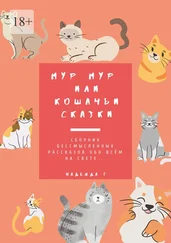 Надежда Грязных - Мур Мур или кошачьи сказки. Сборник бессмысленных рассказов обо всем на свете…