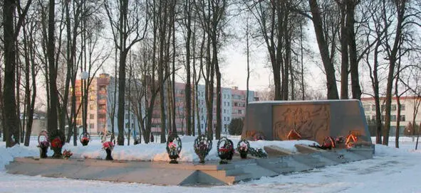 Город Чаусы зимой 20042005 годов Братская могила в центральном городском - фото 31