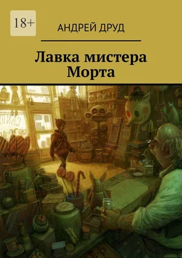 Андрей Друд Лавка мистера Морта обложка книги