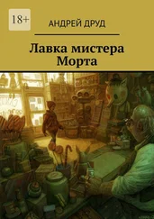 Андрей Друд - Лавка мистера Морта