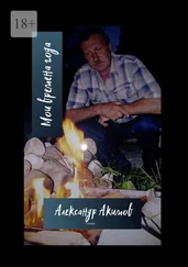 Александр Акимов - Мои времена года