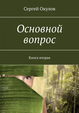 Сергей Окулов Основной вопрос. Книга вторая обложка книги