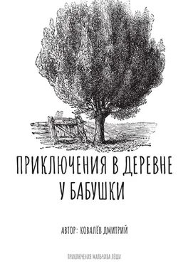 Дмитрий Ковалёв Приключения в деревне у бабушки обложка книги