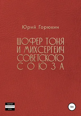 Юрий Горюхин Шофёр Тоня и Михсергеич Советского Союза обложка книги