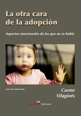 Carme Vilaginés Ortet La otra cara de la adopción обложка книги