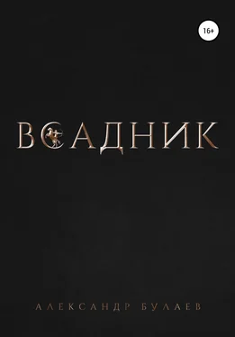 Александр Булаев Всадник обложка книги