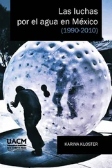 Karina Kloster - Las luchas por el agua en México (1990-2010)