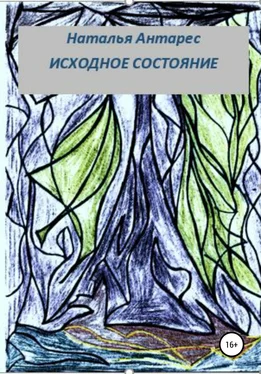 Наталья Антарес Исходное состояние обложка книги