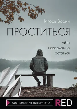 Игорь Зорин Проститься обложка книги