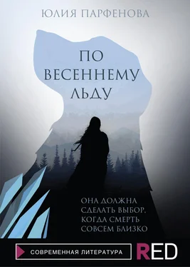 Юлия Парфенова По весеннему льду обложка книги