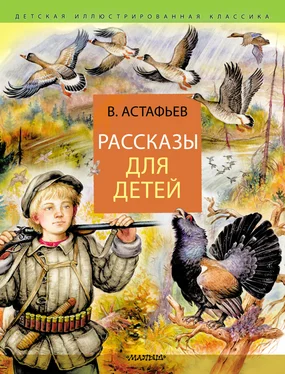 Виктор Астафьев Рассказы для детей обложка книги